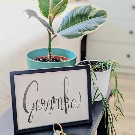 Garsonka -