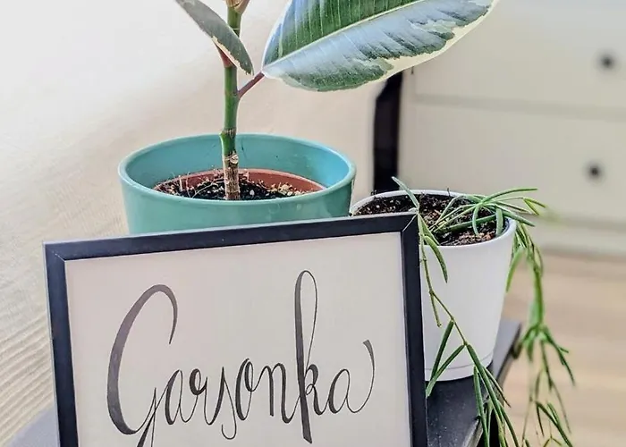 Garsonka -